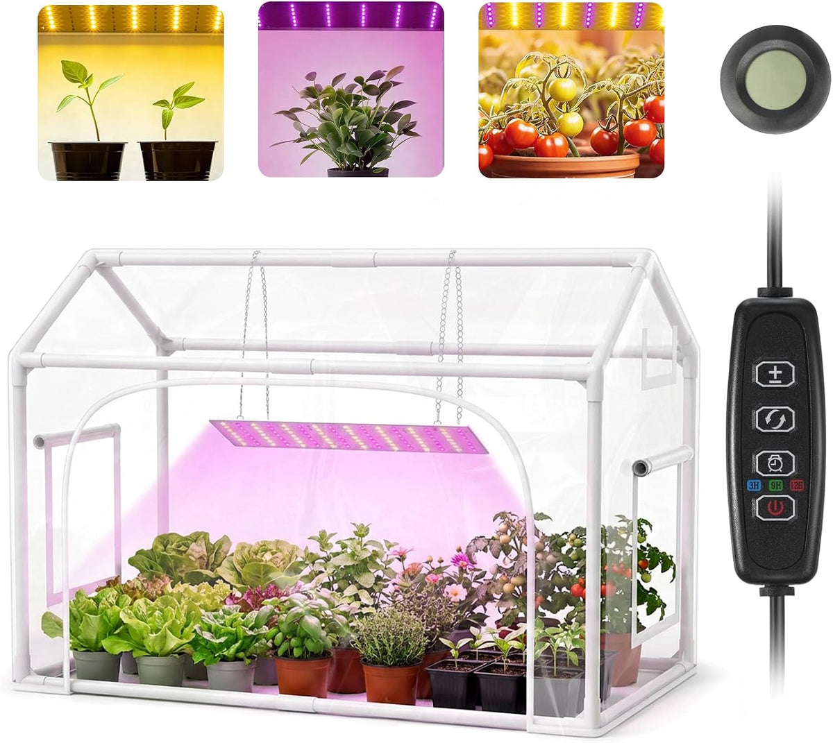 mini indoor greenhouse with grow lights & timer, main product view
