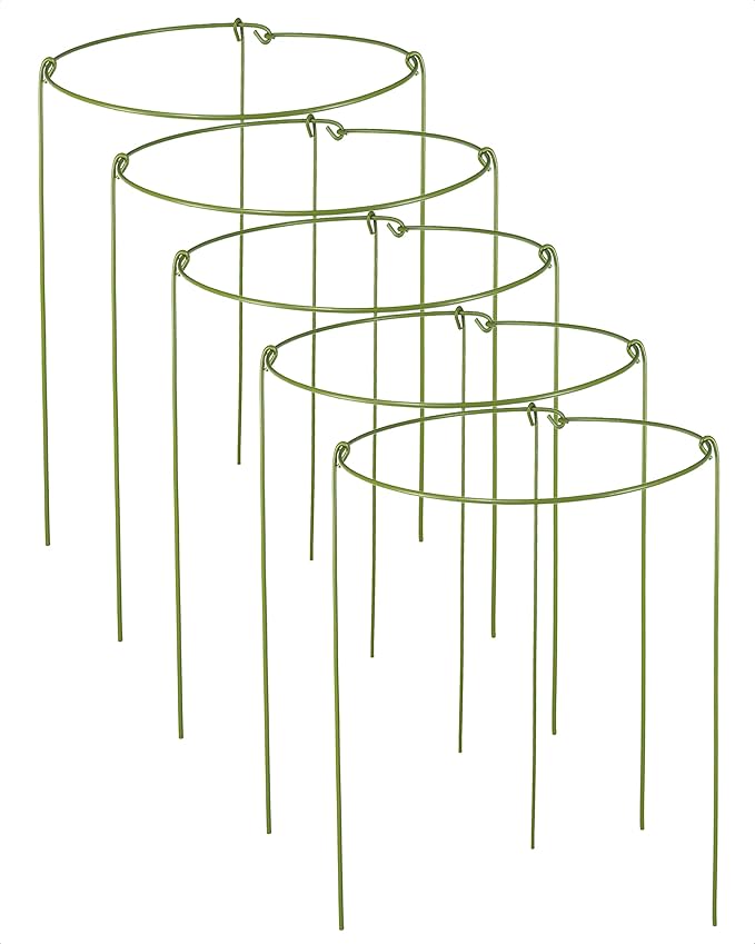 5 Pack Plant Support Stakes, Adjustable Plant Ring Cages with Green Rubber Wrapping, Ideal for Orchids, Indoor and Outdoor Potted Plants, 8" Wide x 11" High