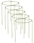 5 Pack Plant Support Stakes, Adjustable Plant Ring Cages with Green Rubber Wrapping, Ideal for Orchids, Indoor and Outdoor Potted Plants, 8" Wide x 11" High