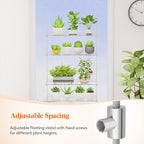 Lifewit 2-Tier Window Plant Shelves 15", Acrylic Adjustable Hanging Floating Shelf, Window Sill Extender for Succulent Plants, Micro Greens, Seed Starter Pots, Herb Planters 38 x 15 cm/15x6
