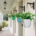 QCQHDU Self Watering Hanging Pots, 2 Pack 5.7 Inch Hanging Planters for Plants Indoor, Outdoor Flower Pots with Drainage Holes and 3 Hooks Chains for Garden Home (Clear)