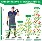 Lezmarket 36 Pack Garden Stakes(16" Each), Plant Support Stakes, DIY 4ft 5ft 6ft 7ft Sturdy Fiberglass Plant Sticks Support Garden Trellis for Growing Climbing Tomato Vegetables Flowers
