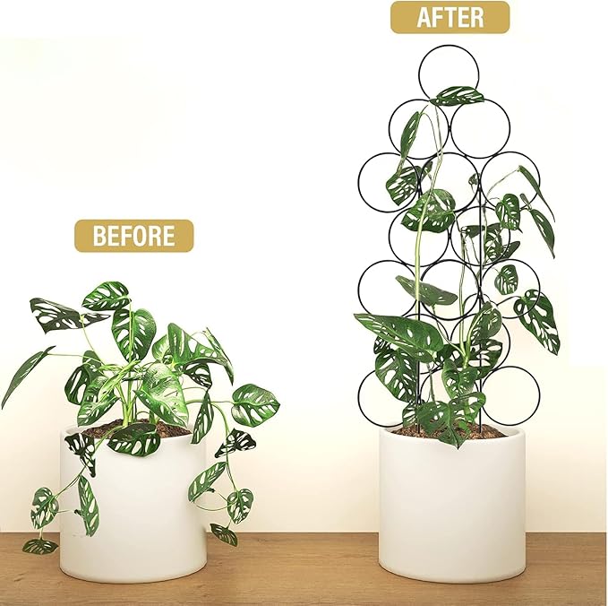 Trellis for Climbing Plants Indoor,4 Pack Stackable Garden Trellis for Potted Plant Support, 15.7 Inch Small Houseplant Metal Wire Trellis for Vine Ivy Rose Plant Trellis (Black)