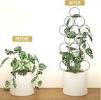 Trellis for Climbing Plants Indoor,4 Pack Stackable Garden Trellis for Potted Plant Support, 15.7 Inch Small Houseplant Metal Wire Trellis for Vine Ivy Rose Plant Trellis (Black)