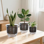 Plant Pots 6/5/4 inch Set of 3, Self Watering Pots for Indoor Outdoor Plants Flowers, Self Watering Planters with Reservoir, Drainage Hole and Absorbent Cotton Rope