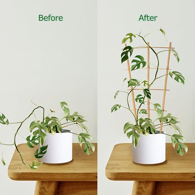 Plant Trellis Indoor, 3 Pack Bamboo Trellises, 16in Fan-Shaped Trellis for Potted Plants Climbing Plants Hoya Vine Ivy