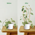 Plant Trellis Indoor, 3 Pack Bamboo Trellises, 16in Fan-Shaped Trellis for Potted Plants Climbing Plants Hoya Vine Ivy