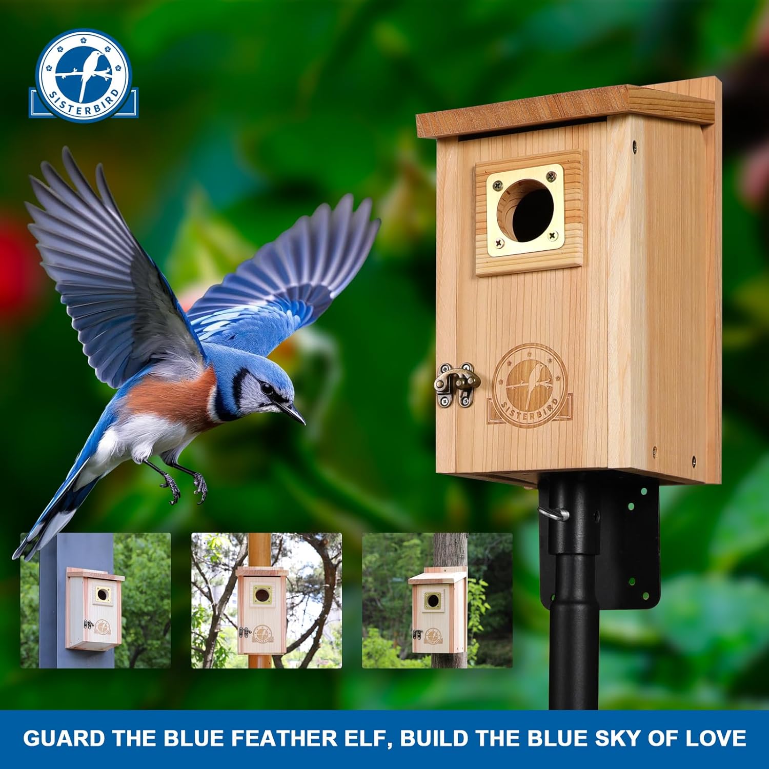 SISTERBIRD Bird Houses for Outside Clearance with Copper Guard, Cedar Bird House Outdoor, Bluebird Finch Swallow Wren Chickadee