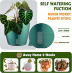 Self Watering Pots for Indoor Plants, 6-Pack 5'' Self Watering Planter with Drainage Holes, Small African Violet Pots with Water Indicator, Clear Wick Orchid Pot, Blue Gold