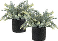 mygift artificial eucalyptus plant black concrete pot geometric, main product view