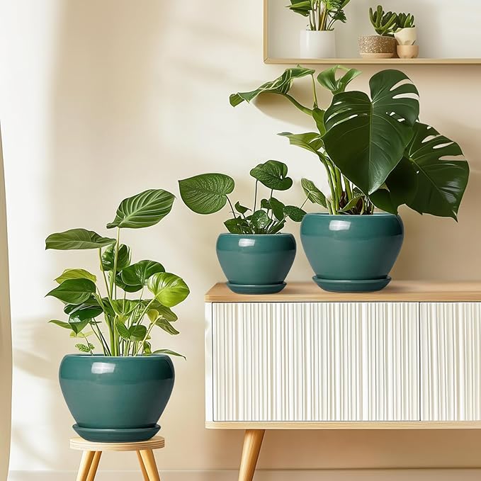 8 Inch Plant Pot - Ceramic Planter for Indoor Outdoor Plants, Glaze Modern Round Ceramic Flower Pot with Drainage Hole and Saucer, Gifts for Plant Lover, Home Office Patio Decor, Green