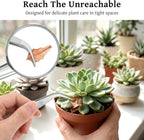 4Pcs Stainless Steel Tweezers Set for Small Garden Kitchen | 6.3″ / 6.5″ Straight & Curved Tip Precision Food Succulent Tweezers Multi-Purpose Tweezer Set Tools for Indoors and Outdoors