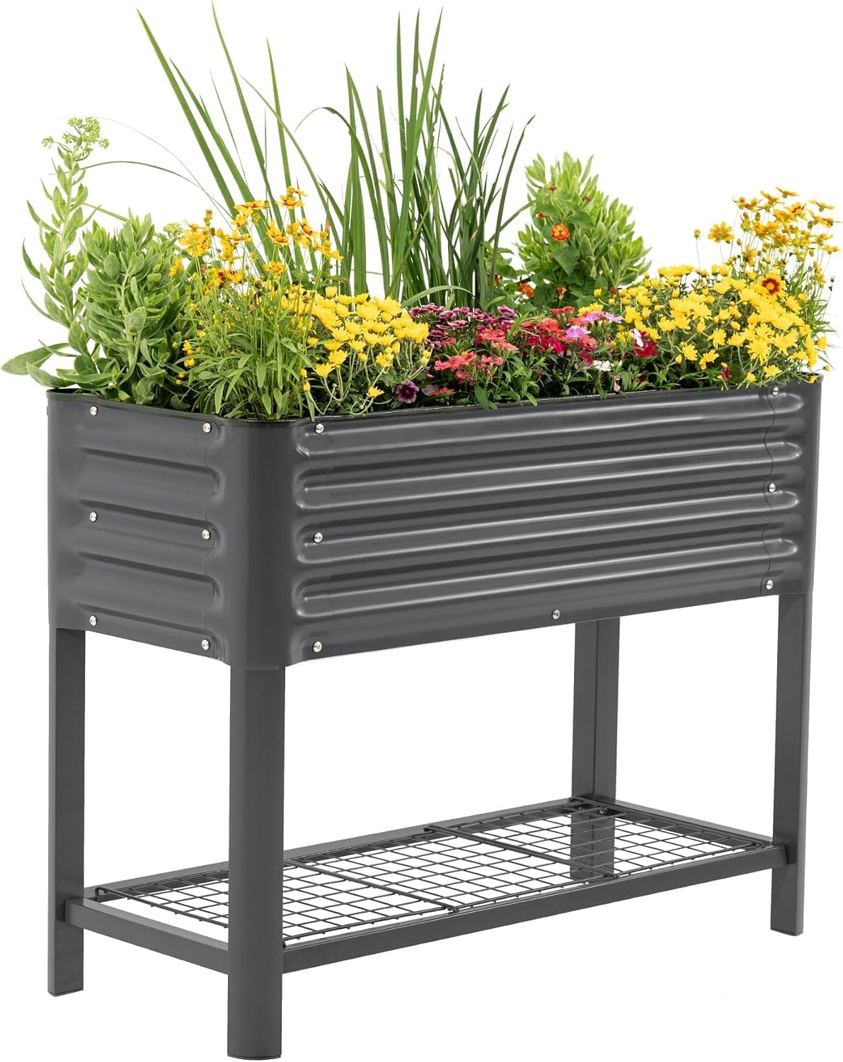 vego garden elevated raised garden bed, 1.5' x, main product view