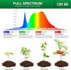 SANSI Grow Light Bulbs for Indoor Plants, 24W Full Spectrum 4000K Daylight | 300 Watt Equivalent BR30 Plant Growing Light Bulb, 4000K Full Spectrum, Optical Lens for High PPFD, ETL Listed