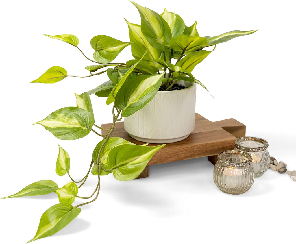 kurrajong farmhouse light green fake pothos plant |, main product view
