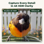 kiwibit solar powered smart bird feeder with camera shown in use
