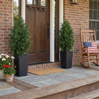 aveyas 4ft artificial cedar topiary trees, 4 feet, side view