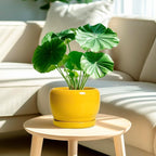 SQOWL Ceramic Plant Pot - 8 Inch Planter for Indoor Outdoor, Decorative Plant Pot with Drainage Hole and Saucer, Modern Round Planter for Flower, Desk Decor, Housewarming Gifts, Yellow
