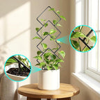 Indoor Trellis for Climbing Plants: 3PC Small Garden Metal Trellis for Vine Ivy Hoya Houseplants Flower Potted Plant Outdoor