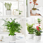 5 Pack Self Watering Pots for Indoor Plants, 4" + 5.5" Decorative Planters for Indoor Plants, Easy-Care Pots for African Violet, Orchid, Snake Plant, Herbs