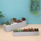 14.5-Inch Grey Rectangle Concrete Succulent Planter Windowsill Boxes