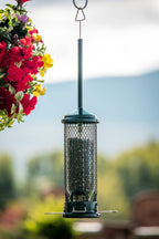 squirrel buster mini truly squirrel-proof bird feeder, package contents