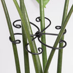 Monstera Plant Support Hook - 4.1x4.1IN 5PCS, Durable Adjustable Stem Support System, Gentle Protection for Monstera and Fishbone Cactus, Professional Indoor Plant Stabilizer