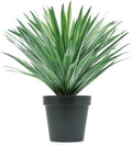 velener artificial agave plant in black pot with, main product view