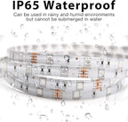 DAYBETTER Waterproof Led Lights for Bedroom, 16.4ft Led Strip Lights, 150 LEDs Color Changing RGB 44 Keys Remote Controller, 12v for Outdoor Room Home Party Christmas Decoration