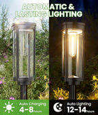 Bright Solar Pathway Lights, 12 Pack Solar Lights Outdoor Waterproof IP65, Auto On/Off Outdoor Garden Decorative Landscape Lighting for Walkway Driveway Lawn Patio Yard