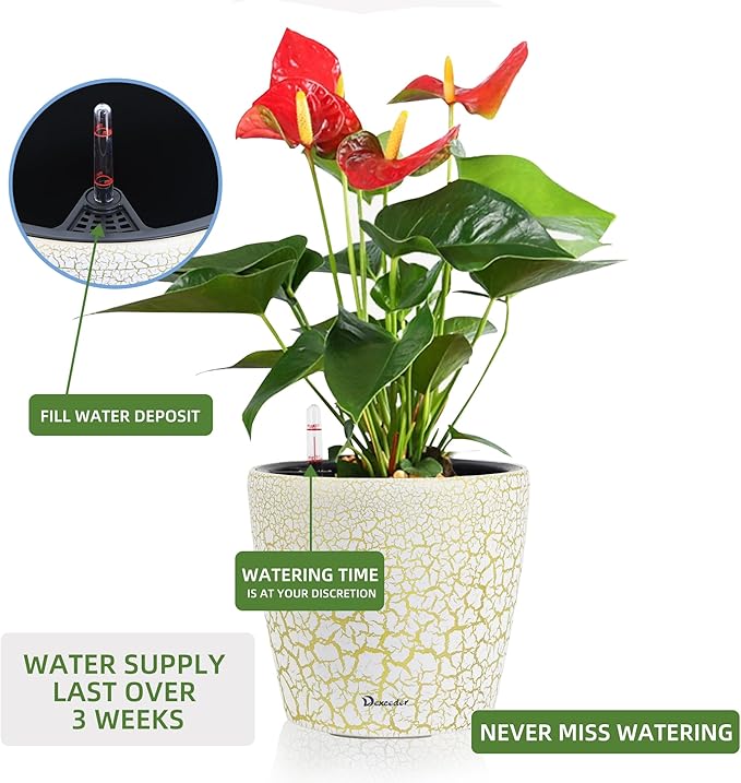 Dexceder 9x8 Inches Self Watering Planter Indoor Outdoor, Inner Pot Design, Thickened Table Flower Plant Pot with Water Level Indicator (White Gold Crackle)