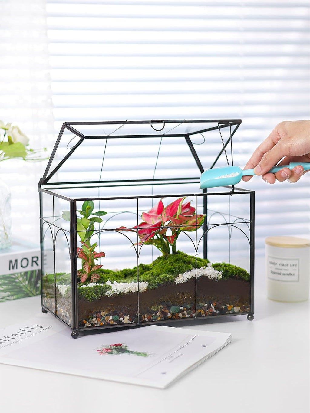 redhugo glass planter terrarium with lid, indoor display, close-up detail