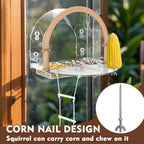 Window Squirrel Feeder, Large Squirrel Feeder for Outside,Funny Squirrel House with 5 Suction Cups，Plastic Squirrel Feeder which Easy to Install,No Assembly Required