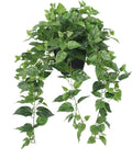 365 blooming decor realistic artificial potted pothos ivy, main product view