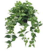 365 blooming decor realistic artificial potted pothos ivy, main product view