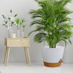 12 inch Large Self Watering Pots for Indoor Outdoor Plants, Flower Plant Pots with Drainage Holes for Garden House Plants, Plastic Planters with Reservoir for Home, White with Brown