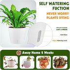 Self Watering Pots for Indoor Plants, 12-Pack 5'' Self Watering Planter with Drainage Holes, Small African Violet Pots with Water Level Indicator, Clear Wick Pot, White/Black