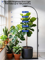 36W Grow Lights for Indoor Plants,Full Spectrum LED Plant Light with Stand | Dual Heads, Adjustable Height and Angle, 3/9/12H Timer, Dimmable, 3 Modes Floor Plant Growing Lamp for Indoor Growing, Black