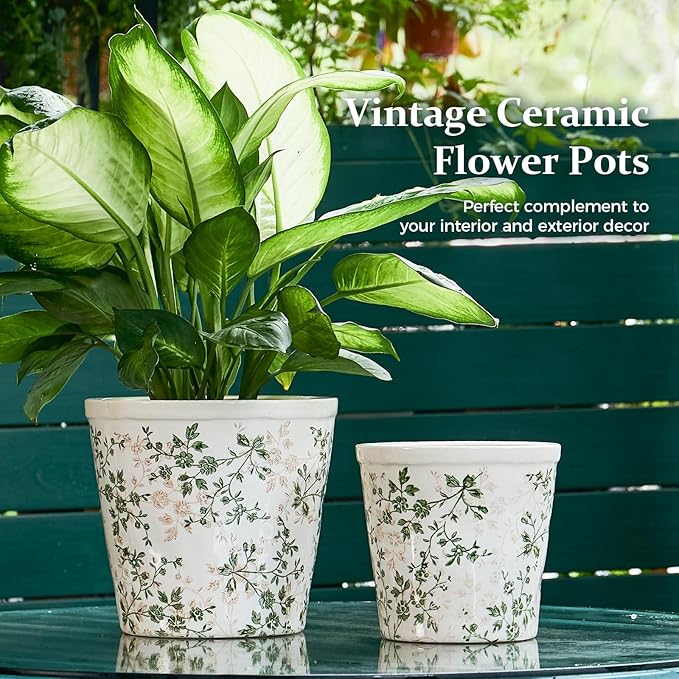 Ceramic Planter with Drainage Hole, Plastic Tray & Mesh, 6 Inch - Indoor/Outdoor Flower Pot for Orchids, Succulents, Green Floral Modern Farmhouse Décor for Home,Office and Garden, Ideal Gift