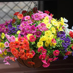 Artificial Flowers for Outdoors, UV Resistant Fake Silk Morning Glory, Realistic Faux Plants for Outside Porch Patio Window Box Hanging Planter (16, Purple Fuchsia Yellow Orange)