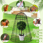 garden chicken wire cloche, 12" w x 15.7", package contents