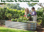 Plant & Plot Galvanized Raised Garden Beds Outdoor // 6×3×1 ft (2-Pack) Planter Raised Beds for Gardening, Vegetables, Flowers // Large Metal Garden Box // Patented Tool-Free Design (Silver)