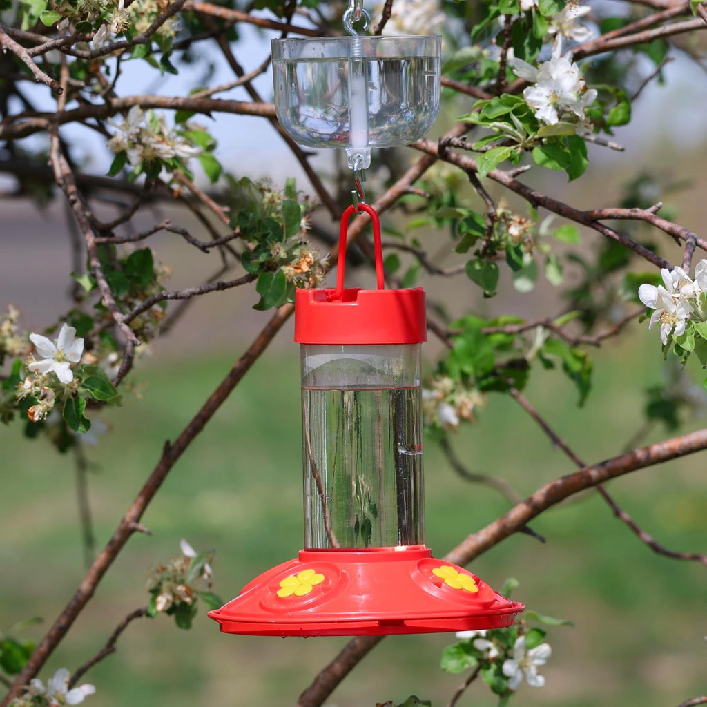 Nectar Protector Junior Bird Feeder Protection - Clear | See-Through Bowl Shows Water Level at a Glance - Compact Ant Moat Hangs Between Hook and Feeder to Protect Nectar