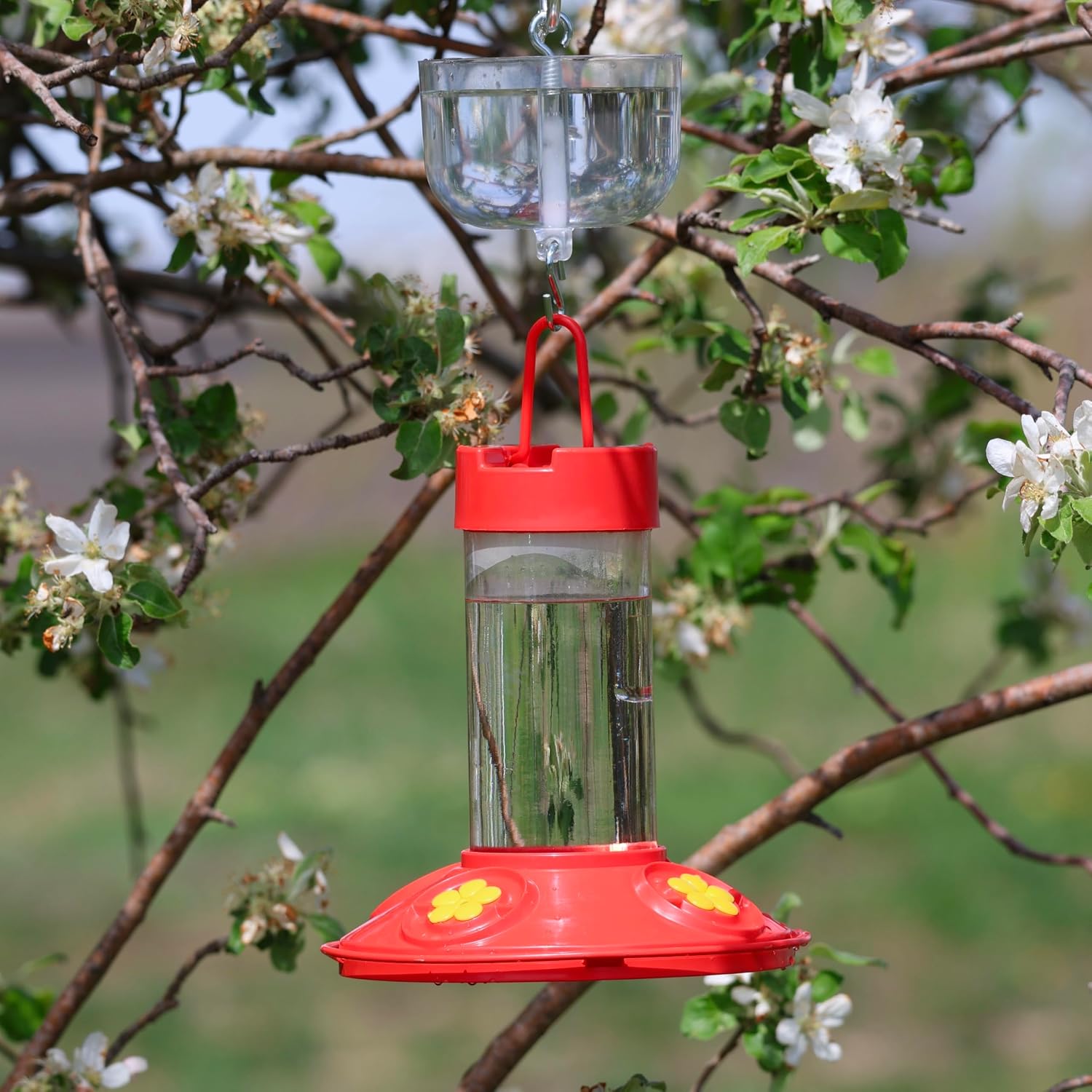 Nectar Protector Junior Bird Feeder Protection - Clear | See-Through Bowl Shows Water Level at a Glance - Compact Ant Moat Hangs Between Hook and Feeder to Protect Nectar