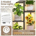 LASZOLA 6 Tier Plant Stand Indoors Outdoors with Light for Large Heavy Duty Planter, Black Metal Tall Flower Holder Rack for Modern House Corner, Vertical Iron Organizer with Multiple Rustic Shelf