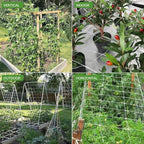 Trellis Netting, CANAGROW Heavy-Duty Garden Plant Trellis Netting for Climbing Plants, Outdoor Indoor Grow Net for Beans Tomatoes Peas Pumpkin Flowers, 𝟔 𝐱 𝟏𝟓𝐟𝐭, Pack of 4