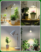 A19 11W LED Grow Bulbs E26 Base Full Spectrum Plant Light Bulb for Indoor | 3 Pack 100W Equivalent Plant Lights for Indoor Growing, Flowers, Greenhouse, Seed Starting