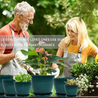 Plant Pots Indoor with Saucers & Drainage - 6 Pack Flower Pots - Plastic Planters for Indoor Planter - 7.5/6.6/5.8/5.0/4.3/3.5 inches Sizes for All Different Types of Plants-Dark Green