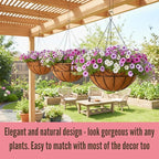 LaLaGreen Hanging Planter for Outdoor Plants (20 Inch, 2 Pack) Hanging Baskets with Coco Liner, Black Metal Wire Flower Basket Pots with Hook Hanger Balcony Porch Farmhouse Country Style Garden Decor
