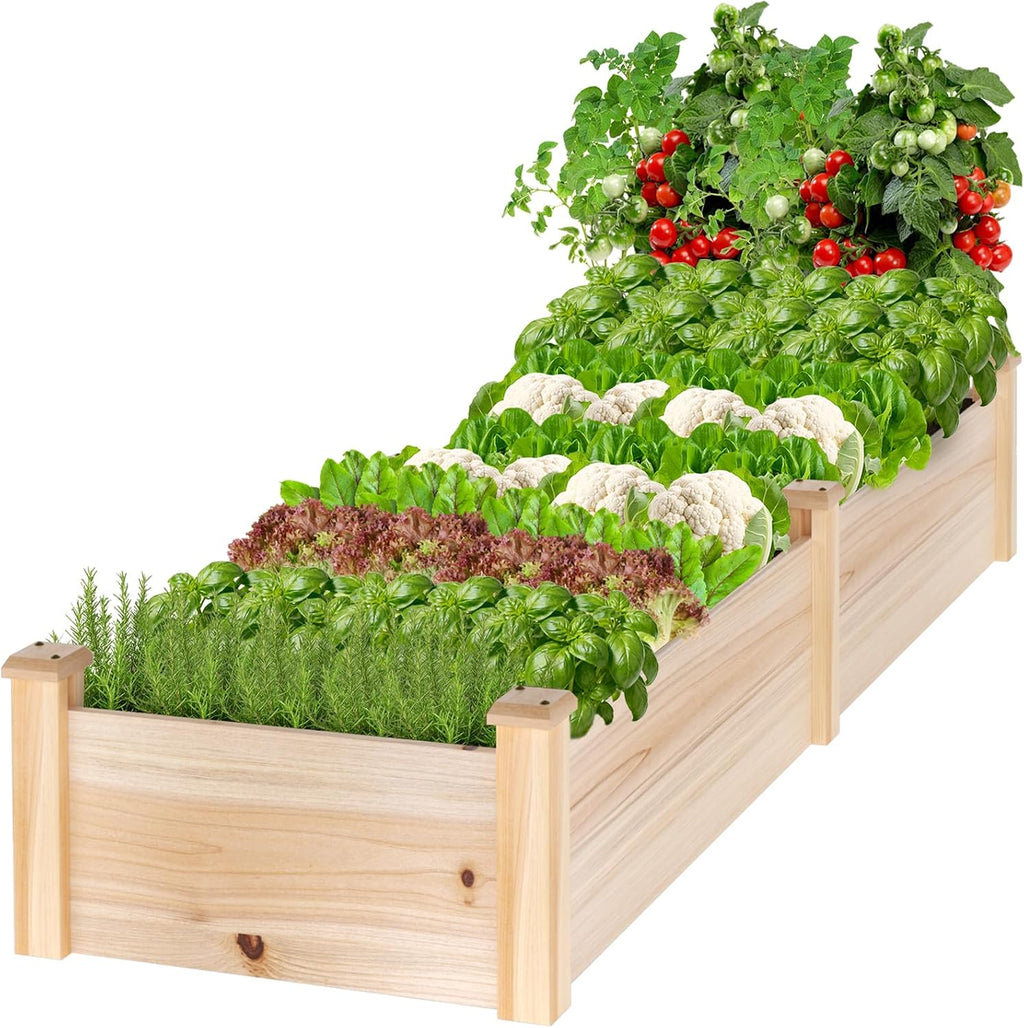 mixc 8×2ft wooden raised garden bed outdoor planter, main product view